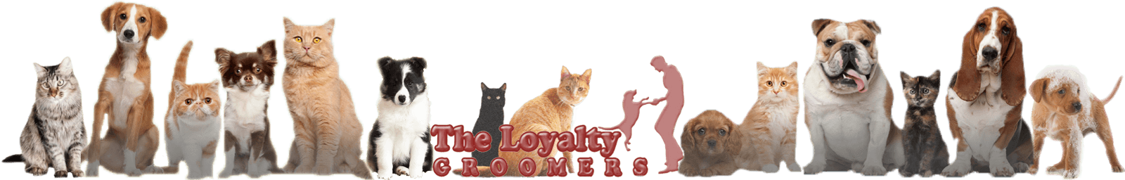 The Loyalty Groomers banner with dogs and cats